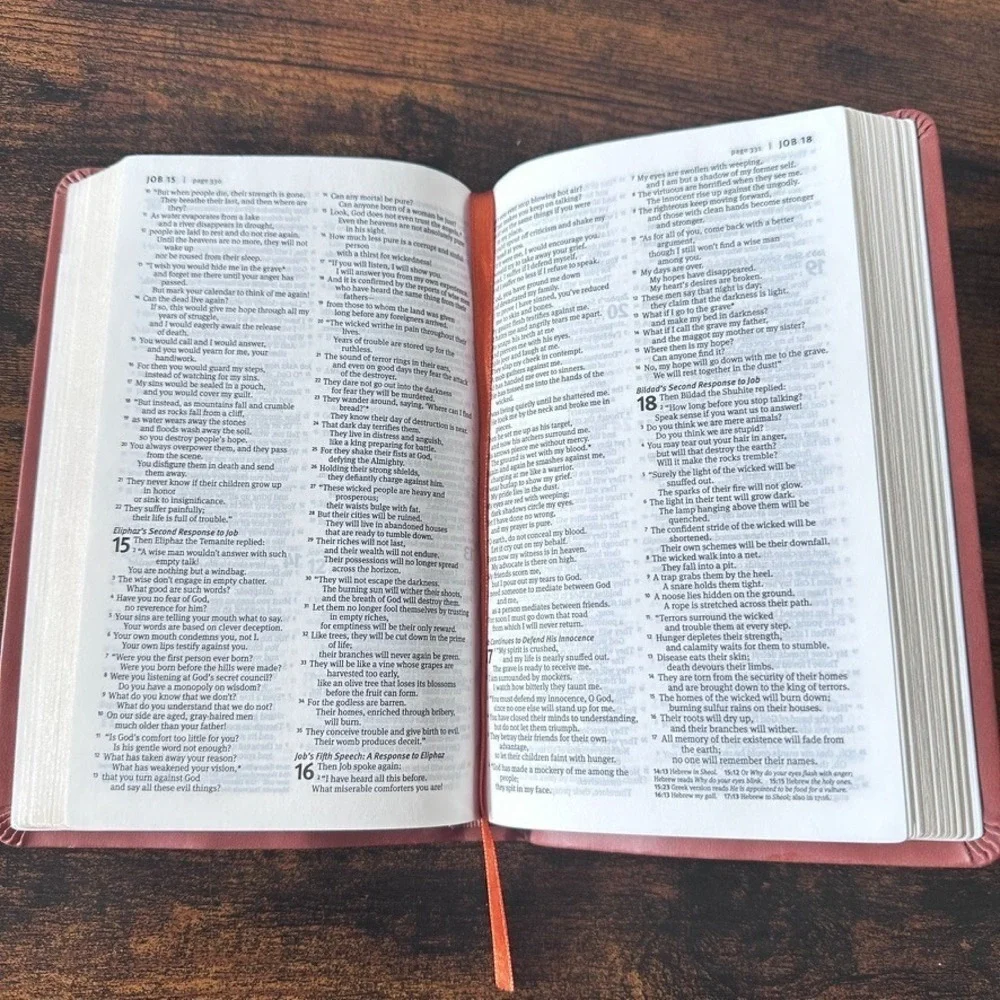 Tyndale NLT New Living Translation Bible Faux Leather Slimline Christian Geo